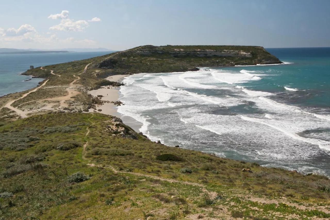 Angolo Verde Oristano 0*,